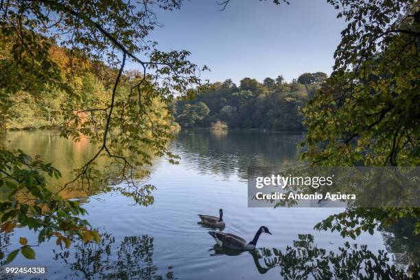 rood klooster - klooster stock pictures, royalty-free photos & images