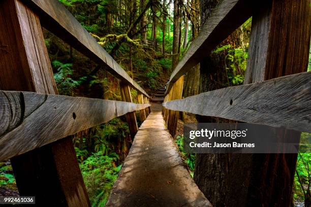 Small Forest Bridge Small Wooden Bridges Photos and Premium High Res Pictures - Getty Images