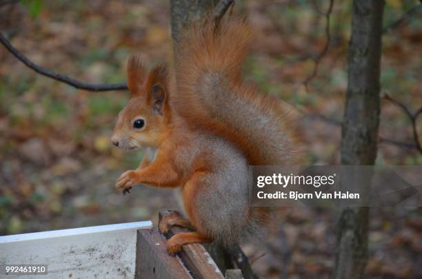 standing on the edge - halten stock pictures, royalty-free photos & images