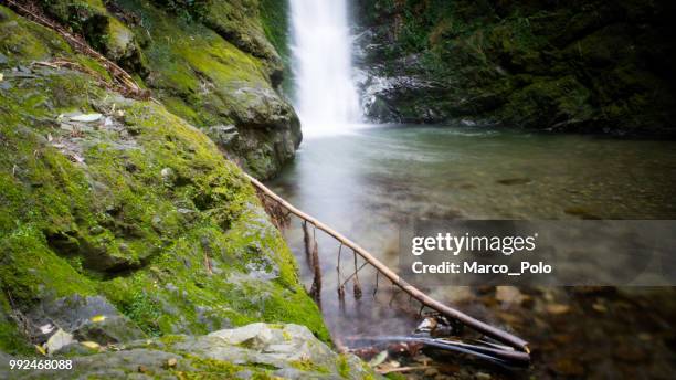 der wasserfall - wasserfall stock pictures, royalty-free photos & images