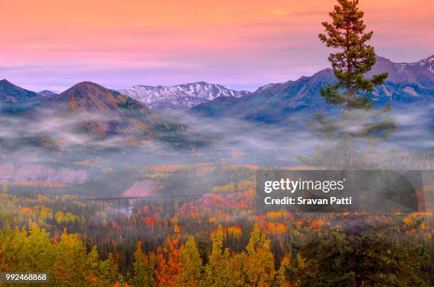 Misty Denali High-Res Stock Photo