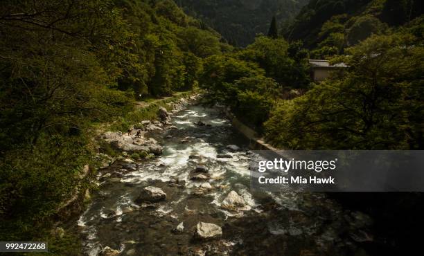 river in kyoto - mia woods fotografías e imágenes de stock