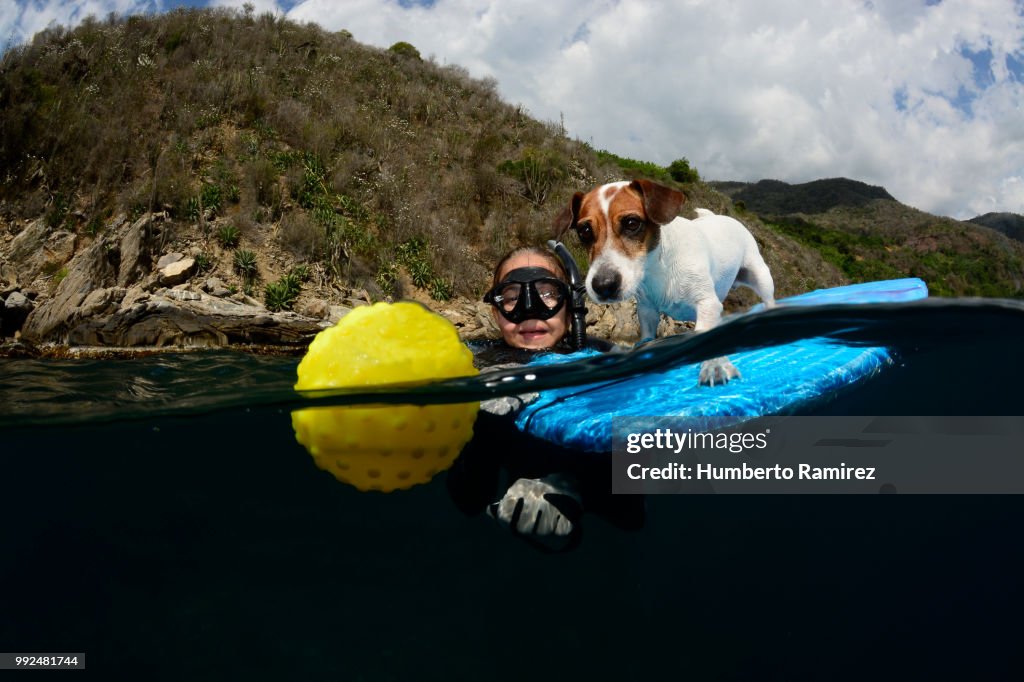 The surfing Jack Russell Terrier