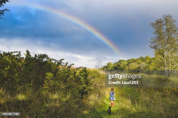 somwhere - kansas landscape stock pictures, royalty-free photos & images