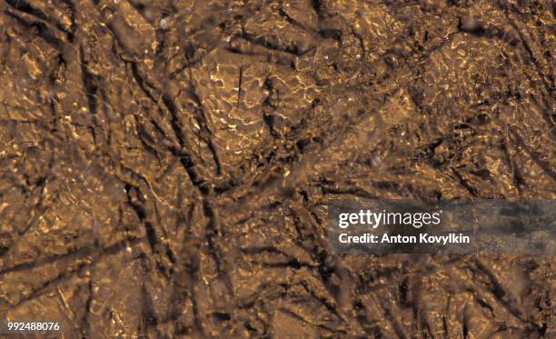 wavy pathes of light on the botton of icy puddle - botton stock pictures, royalty-free photos & images