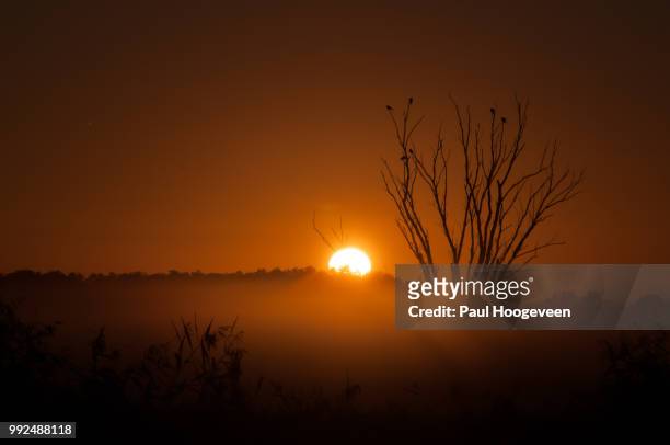 sunrise with fog - hoogeveen fotografías e imágenes de stock