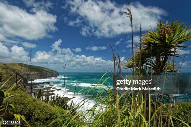 Waitakere Ranges Cliffs 1,153 Waitakere Ranges Stock Photos, High-Res Pictures, and Images ...