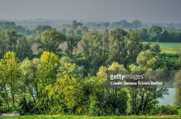 campagne mantovane - campagne stock pictures, royalty-free photos & images