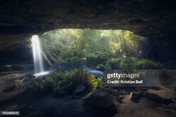 australian temperate rainforest waterfall scene from a dark cave - caverna stock-fotos und bilder