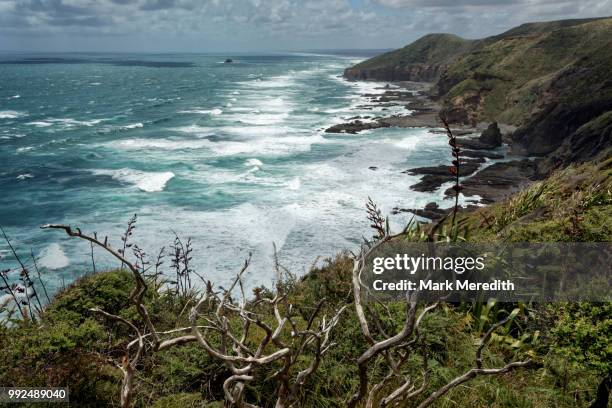 Waitakere Ranges Cliffs 1,153 Waitakere Ranges Stock Photos, High-Res Pictures, and Images ...