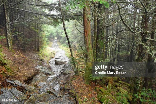 at trail rocky path - boden stock pictures, royalty-free photos & images