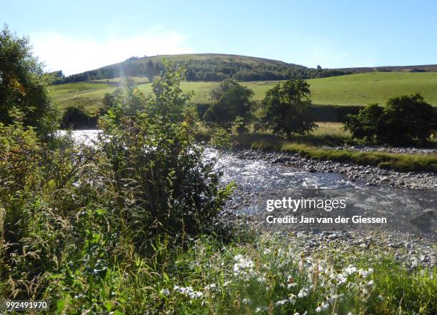 river avon scotland - avon river photos et images de collection