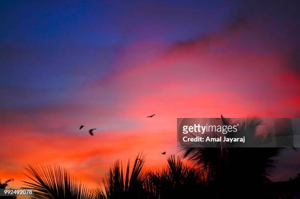 a colorful sunset - amal stock pictures, royalty-free photos & images