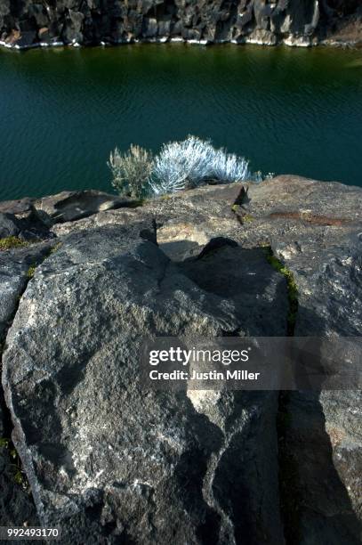 dierkes lake near twin falls, idaho - idaho falls stock pictures, royalty-free photos & images