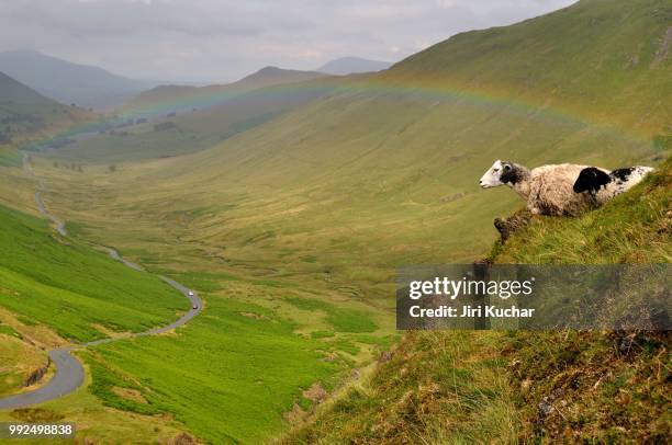 lake district - newlands valley - kuchar stock pictures, royalty-free photos & images