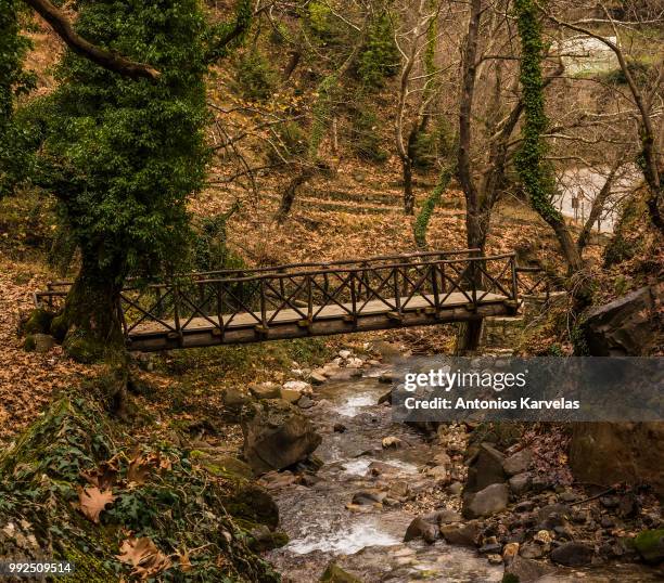 Small Forest Bridge Small Wooden Bridges Photos and Premium High Res Pictures - Getty Images