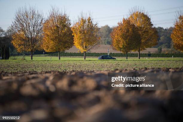 Car drives on an avenue along the state road 1207 in Wernau, Germany, 18 October 2017. The young maple avenue was elected the avenue of the year by...