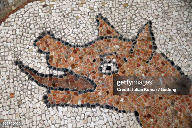 detail of the mosaics on the floor of otranto duomo (cathedral), italy. - otranto foto e immagini stock