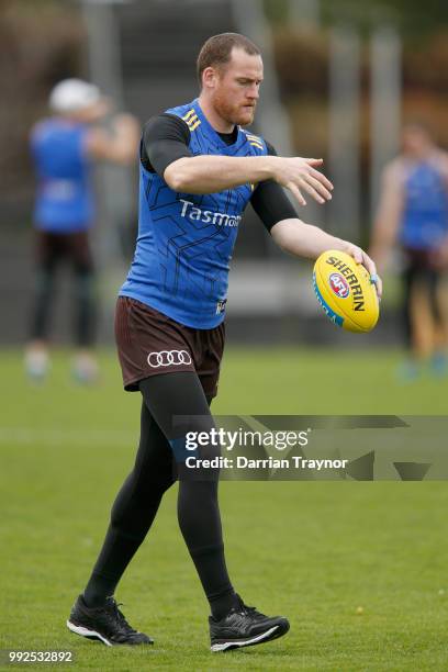 Jarryd Roughead of the Hawks during a Hawthorn Hawks AFL Training Session at Waverley Park on July 6, 2018 in Melbourne, Australia.