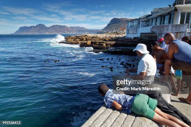 fishing with spectators on kalk bay harbour wall, cape town - cape town harbour stock pictures, royalty-free photos & images