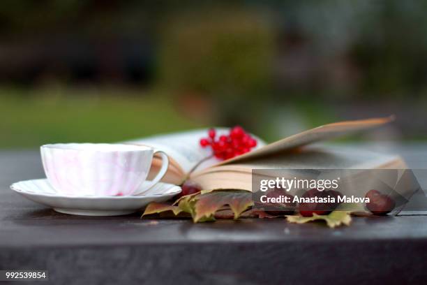 reading with a cup of tea in the autumn garder - trachurus trachurus stockfoto's en -beelden