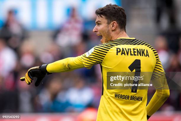 Bremen's goalkeeper Jiri Pavlenka during the German Bundesliga soccer match between 1. FC Cologne and Werder Bremen at the RheinEnergieStadion arena...