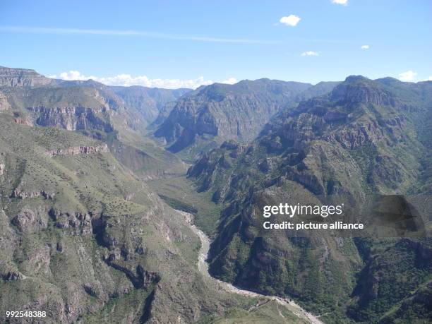 Opium poppy fields are easy to hide in the remote and difficult to access Sierra Madre region in the south of the Mexican state of Chihuahua, picture...