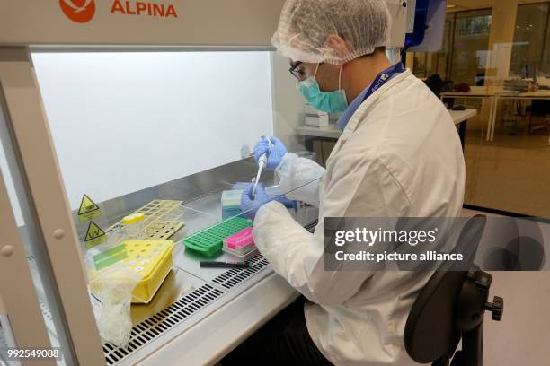 Forensic Pathologist Lab 764 Forensic Pathologist Stock Photos, High-Res Pictures, and Images ...