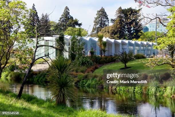 avon river and botanical gardens in hagley park, christchurch - avon river photos et images de collection