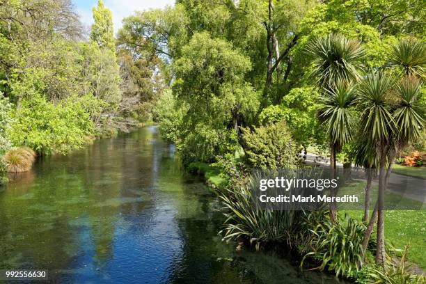 avon river and botanical gardens in hagley park, christchurch - avon river photos et images de collection