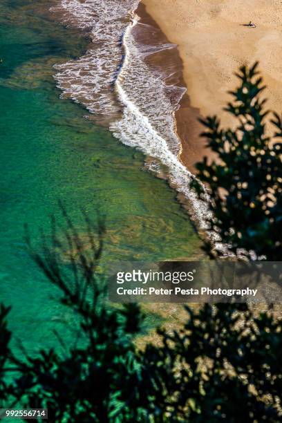 zenith beach - port stephens stock pictures, royalty-free photos & images