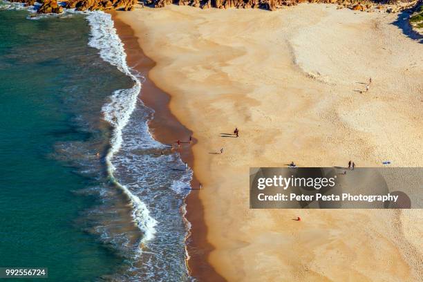 zenith beach - port stephens stock pictures, royalty-free photos & images