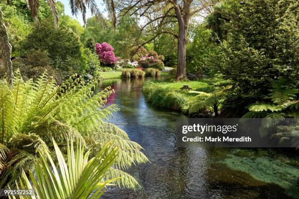 avon river and botanical gardens in hagley park, christchurch - christchurch stock pictures, royalty-free photos & images