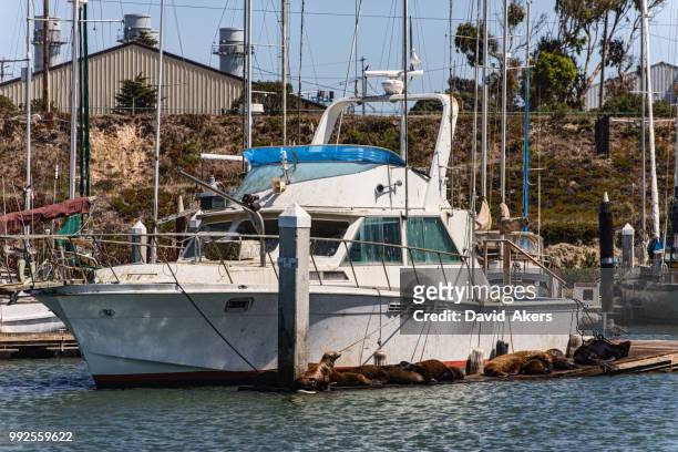 moss landing - moss landing stock pictures, royalty-free photos & images