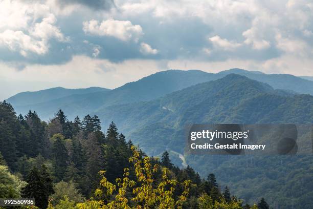 Blue Rge Mountains Spring Blue Ridge Mountains In Spring Photos and Premium High Res Pictures ...