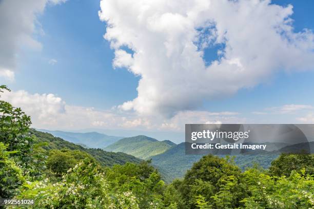 287 Blue Ridge Mountains Panoramic Stock Photos, High-Res Pictures, and ...