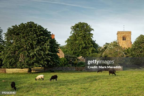 cotswold summer evening in aston le walls near banbury, northamptonshire, england - banbury stockfoto's en -beelden