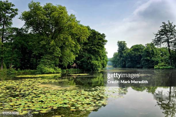 summer on the lake near banbury oxfordshire - banbury stockfoto's en -beelden