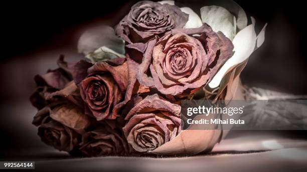 Number 13 Roses 131 13 Roses Stock Photos, High-Res Pictures, and Images - Getty Images