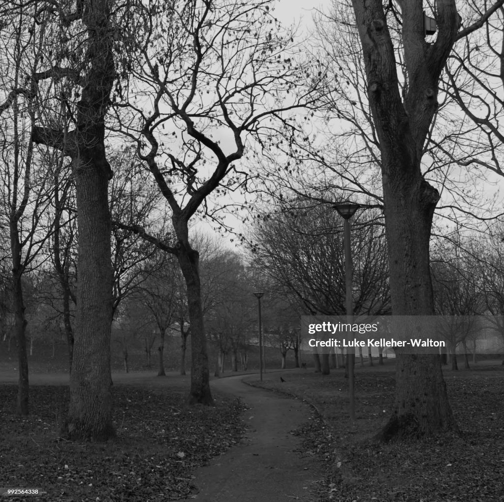 A Walk In The Park
