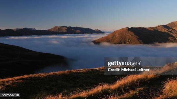 herbstnebel - leitner stock pictures, royalty-free photos & images