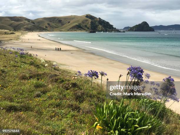 opito bay in the coromandel - coromandel stock pictures, royalty-free photos & images