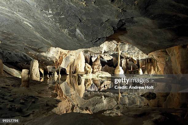 the spectacular stalagmites and stalagtites of cox's cave - stalagmite stock pictures, royalty-free photos & images