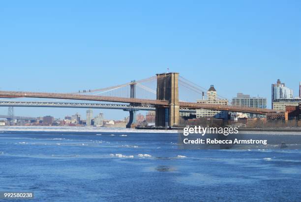 brooklyn bridge - rebecca-armstrong photos et images de collection