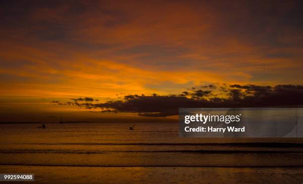 fishing at sunset - fiji fishing stock pictures, royalty-free photos & images