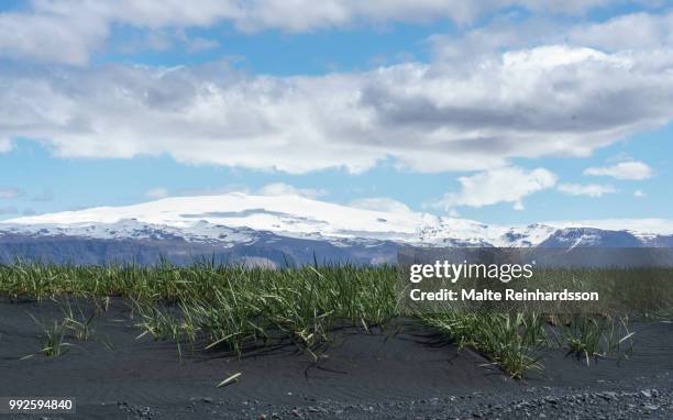 icelandic coast - malte stock pictures, royalty-free photos & images