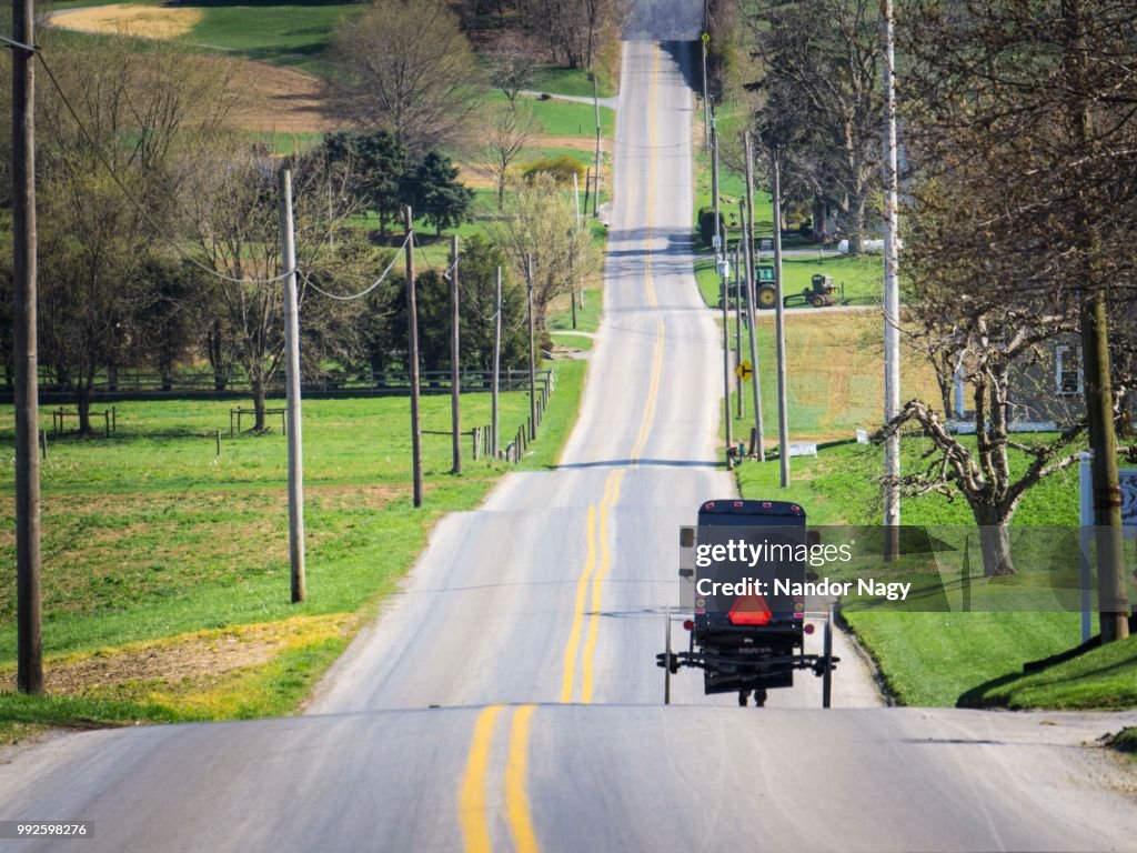 Amish Buggy - Lancaster