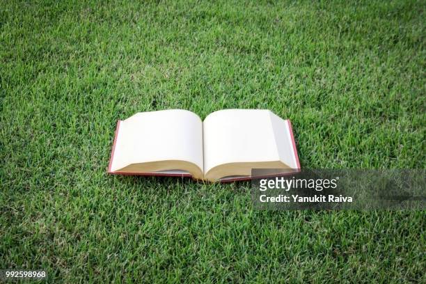 open vintage book in green park - green book stock pictures, royalty-free photos & images