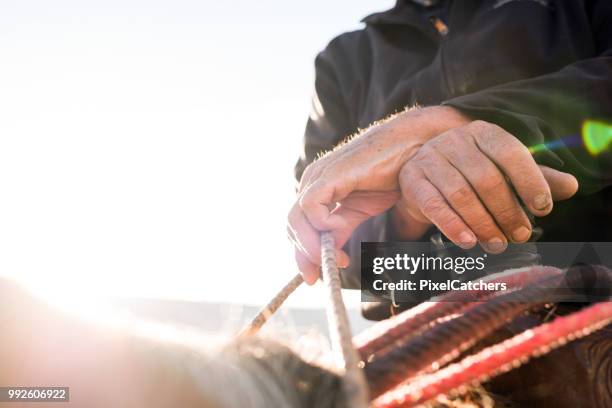 close up rough cowboy hands rest on saddle horn lens flare - rein stock pictures, royalty-free photos & images