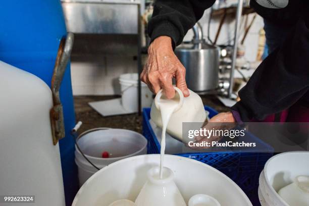 bouchent versé dans des récipients pour nourrir les jeunes veaux de lait - fermier lait photos et images de collection